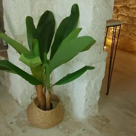 Apartment Dimora Pisacane By Gonewlocation Ostuni